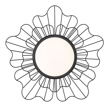 Alternate Image