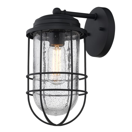 Golden Lighting Seaport 12" Tall Outdoor Wall Sconce Natural Black / Seedy