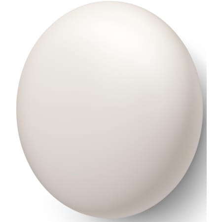 Alternate Image