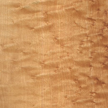 Birds Eye Maple