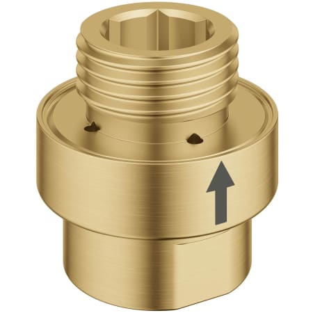 Grohe Universal 1/2" Brass Vacuum Breaker Brushed Cool Sunrise