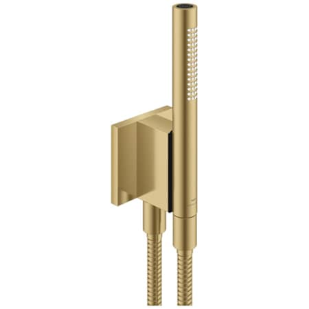 Grohe Rainshower Aqua 1.75 GPM Multi Function Hand Shower - Includes Hose Brushed Cool Sunrise