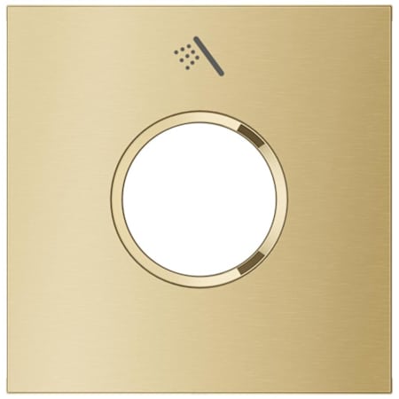 Grohe Rainshower Aqua Shower Trim Plate - Hand Shower Brushed Cool Sunrise