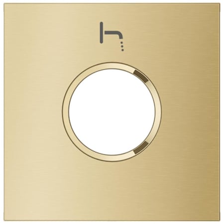 Grohe Rainshower Aqua Shower Trim Plate - Tub Spout Brushed Cool Sunrise