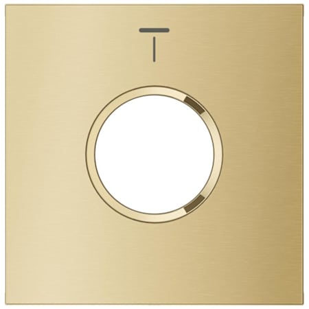 Grohe Rainshower Aqua Shower Trim Plate - Pure Spray Brushed Cool Sunrise