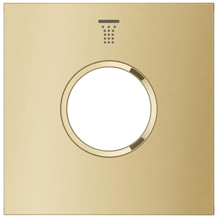 Grohe Rainshower Aqua Shower Trim Plate - Cascade Spray Brushed Cool Sunrise