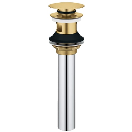 Grohe Universal Drain Assembly Brushed Cool Sunrise