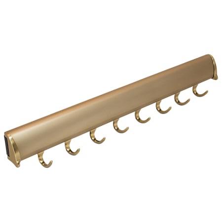 Hafele Belt Rack, TAG Synergy Elite Collection, 8 Hook, 17 15/16" With Full Extension Slide Matte Gold