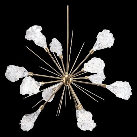 Alternate Image