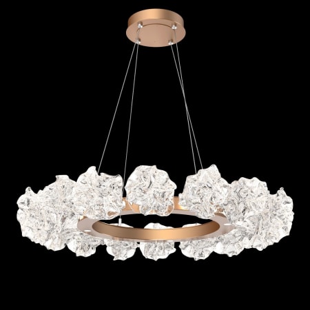 Hammerton Studio Blossom 12 Light 23" Wide LED Ring Chandelier Configure Below