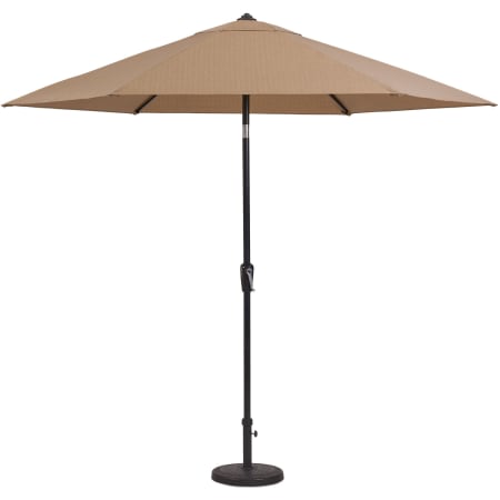 Umbrella
