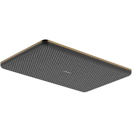 Hansgrohe Raindance Alive Q 2.5 GPM Single Function Shower Head Brushed Bronze
