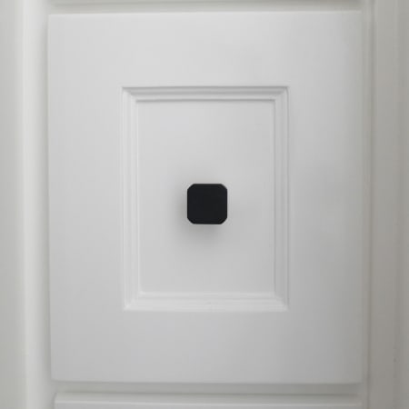 Alternate Image