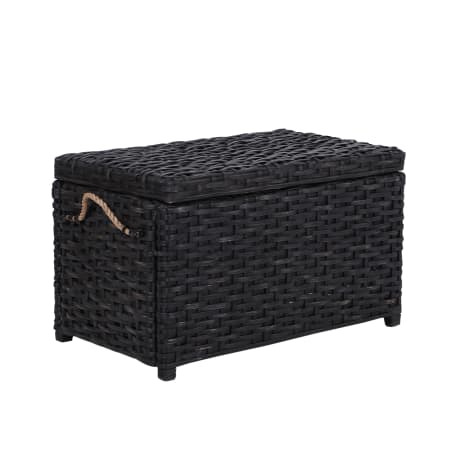 happimess Jacob 32" Wide Rattan Collapsable Trunk Distressed Black