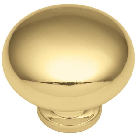 Polished Brass