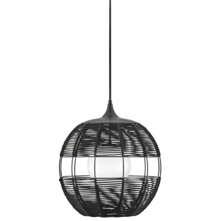 Hinkley Lighting Maddox 1 Light 24" Wide Open Air Pendant Black
