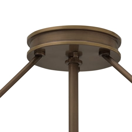 Alternate View