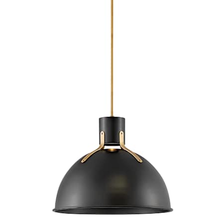 Hinkley Lighting Argo 1 Light 20" Wide Pendant with LED Bulb Included Satin Black / Lacquered Brass