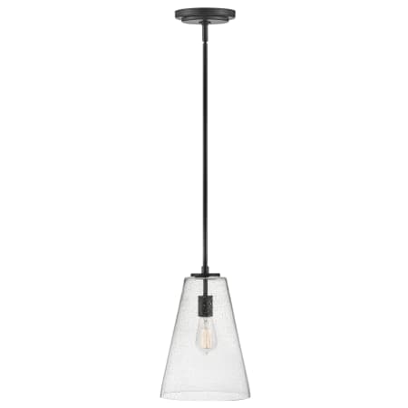 Pendant with Canopy - SK