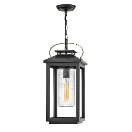 Hinkley Lighting Atwater 120v 1 Light 9.5" Wide Coastal Elements Outdoor Pendant with Clear Seedy Glass Black