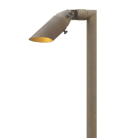 Hinkley Lighting 12v 2.5w LED 2700K Landscape Spot Light and Stem from the Hardy Island Collection Matte Bronze