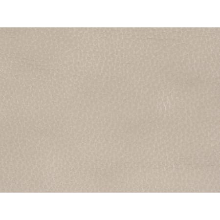 Leather Swatch Detail