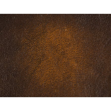 Finley Leather Swatch