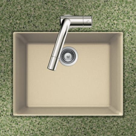 Alternate Image