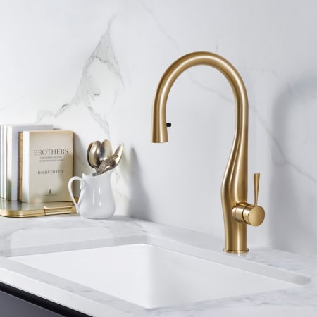 Houzer-VISPD-869-Brushed Brass View