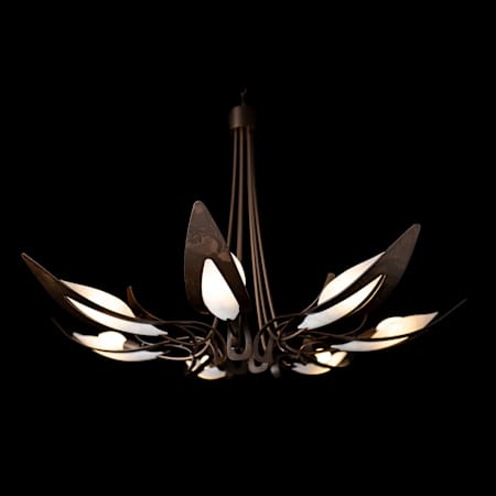Alternate Image