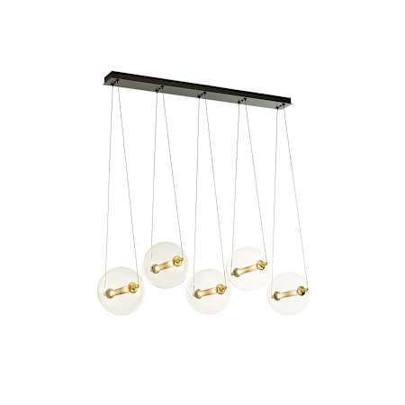 Brass / Black / Clear