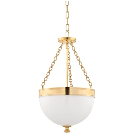 Hudson Valley Lighting Barrington 3 Light 14" Wide Pendant Aged Brass