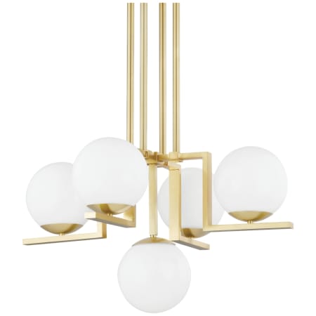 Hudson Valley Lighting Tanner 5 Light 30" Wide Chandelier Aged Brass