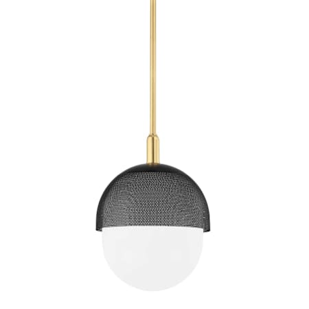 Hudson Valley Lighting Nyack 14" Wide Pendant Aged Brass / Black