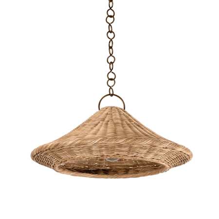 Hudson Valley Lighting Baychester 22" Wide Pendant Bronze Leaf