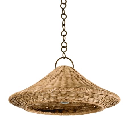 Hudson Valley Lighting Baychester 22" Wide Pendant Bronze Leaf