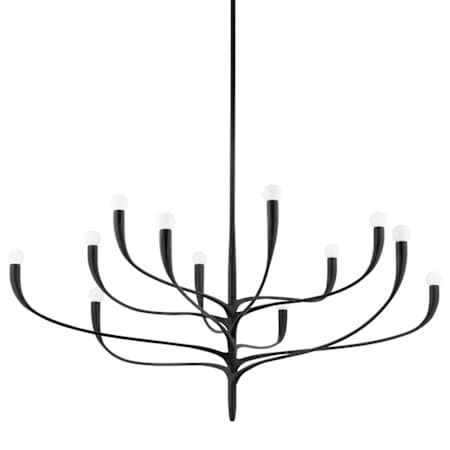 Hudson Valley Lighting Labra 12 Light 52" Wide Chandelier Aged Iron