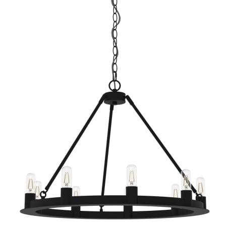 Hunter Saddlewood 8 Light 30" Wide Ring Chandelier Natural Iron