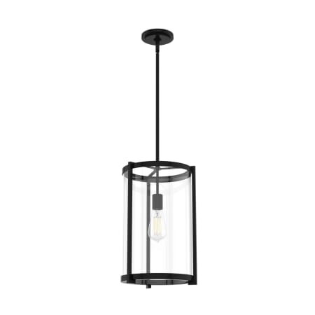 Hunter Astwood 12" Wide LED Pendant Matte Black
