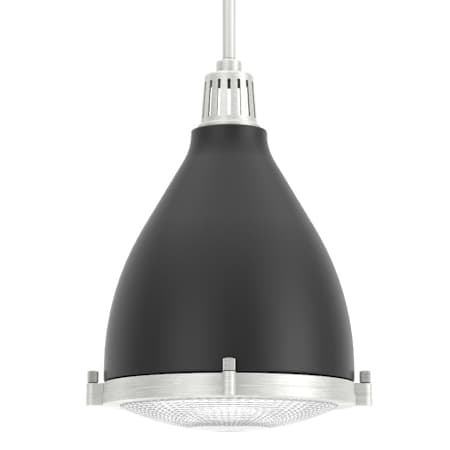 Hunter Bluff View 10" Wide Pendant Flat Matte Black