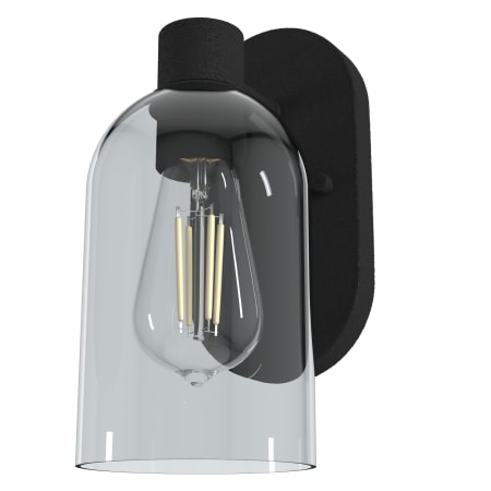 Hunter Lochemeade 10" Tall Wall Sconce Natural Iron