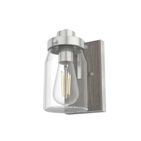 Hunter Devon Park 9" Tall Wall Sconce with Shade Brushed Nickel