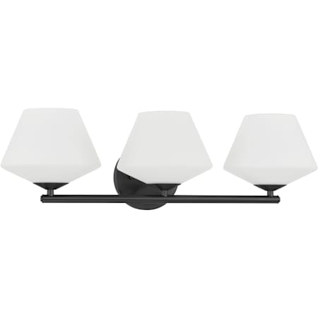 Hunter Celestial Valley 3 Light 24" Wide Vanity Light Matte Black