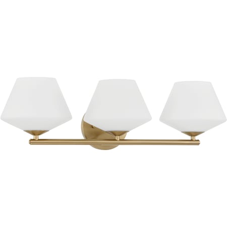 Hunter Celestial Valley 3 Light 24" Wide Vanity Light Alturas Gold