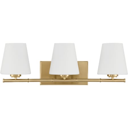 Hunter Fauna Grove 3 Light 25" Wide Vanity Light Alturas Gold