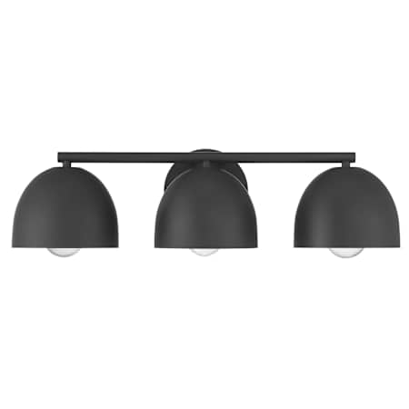 Hunter Erling 3 Light 22" Wide Vanity Light Matte Black