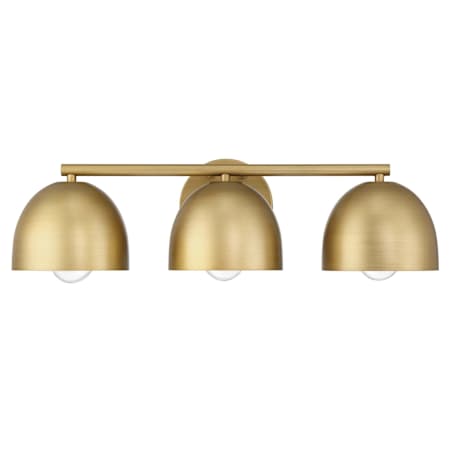 Hunter Erling 3 Light 22" Wide Vanity Light Luxe Gold