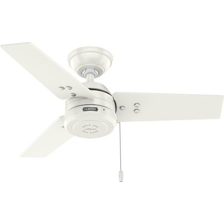 Hunter Cassius 36" 3 Blade Indoor Ceiling Fan Fresh White