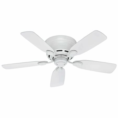 Hunter Low Profile 42" 5 Blade Indoor Ceiling Fan White