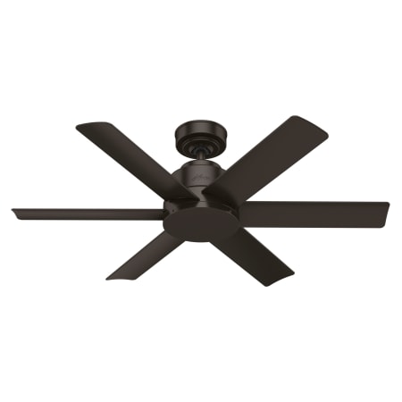Hunter Kennicott 44" 6 Blade Indoor / Outdoor Ceiling Fan with Wall Control Premier Bronze